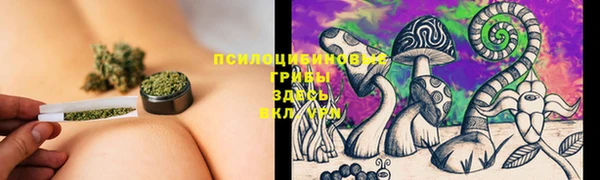 тгк Арсеньев