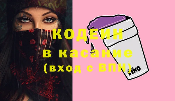 индика Михайловка