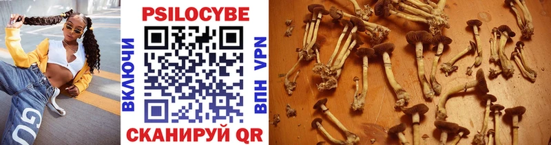 как найти Буинск Галлюциногенные грибы MAGIC MUSHROOMS